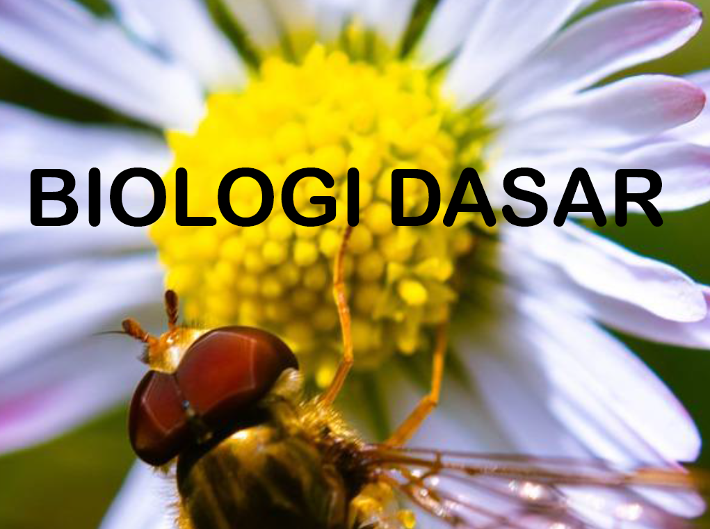 Biologi Dasar - RK CO-2