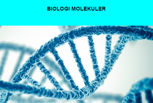 Biologi Molekuler - RK CO-1